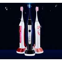 Cr8002 New Style Rechargeable Electric Whitening Pets Toothbrush Teeth Rotative Tooth Brush