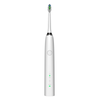 2020 Factory USB Wireless Charging Sonic Electric Toothbrush