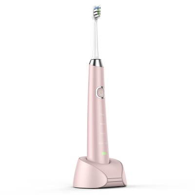 Wholesale Factory Price Sonic Power Electric toothbrush Hanasco H3