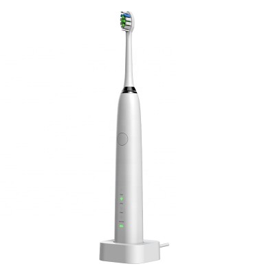 2020 HANASCO New Cheap Price Sonic Vibration Electric Toothbrush H6 with travel case