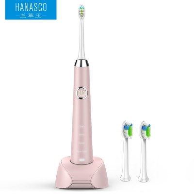 Affordable travel size highest rated recommended best portable family sonic electric toothbrush